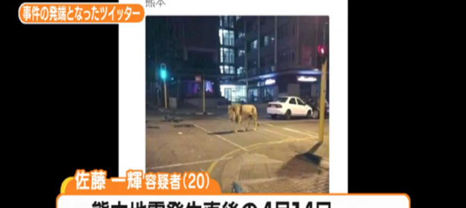 熊本地震で「動物園からライオンが逃げた」と嘘ツイートした男、逮捕される