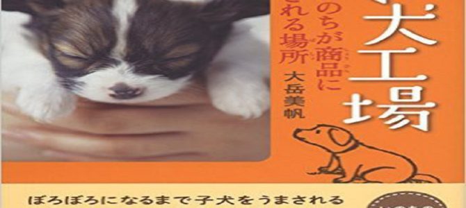 道具として扱われる繁殖犬の実態と悲惨さ