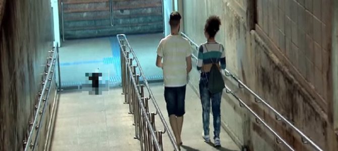 チワワでも怖いもは怖い! チワワでも怖いもは怖い!