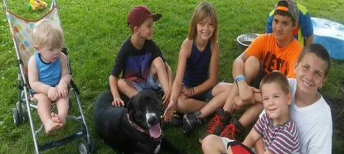 感動の話が実は…SNSの落とし穴