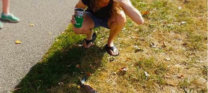 どういうこと？魚が空から落ちてきた！