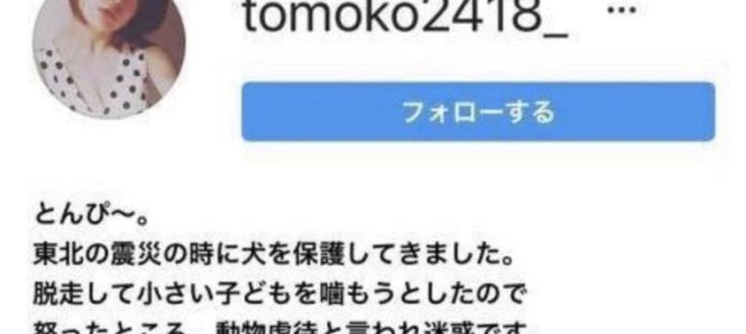 【神戸】犬虐待動画の飼い主の名前は智子 【神戸】犬虐待動画の飼い主の名前は智子