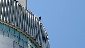 梅田の大丸で飛び降り自殺の黒服の女性 ネット上で「死神」説