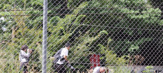 京急線の神奈川新町駅の踏切事故でマスコミが警察の注意を無視して無許可で線路内に立ち入り大変な炎上