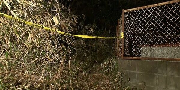 兵庫県宝塚市　山林で女性の遺体