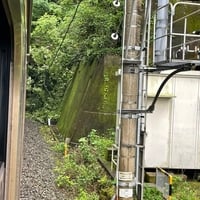 外房線 御宿駅~勝浦駅の間で倒木で運転見合わせ 外房線 御宿駅~勝浦駅の間で倒木で運転見合わせ