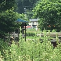 福島県郡山市　国道49号でトラックと乗用車が事故