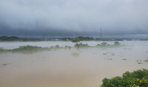 秋田県　大館市などで冠水！米代川で氾濫