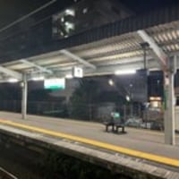 大和路線 三郷駅で人身事故「ブルーシートひいてる」