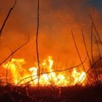 武蔵野線 東浦和〜東川口駅間で沿線火災