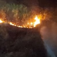 東海道線　早川〜根府川で沿線火災！　「根府川～早川で山火事」