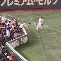 WBC　エキサイトシートの観客、ファールを取ろうと身を乗り出す